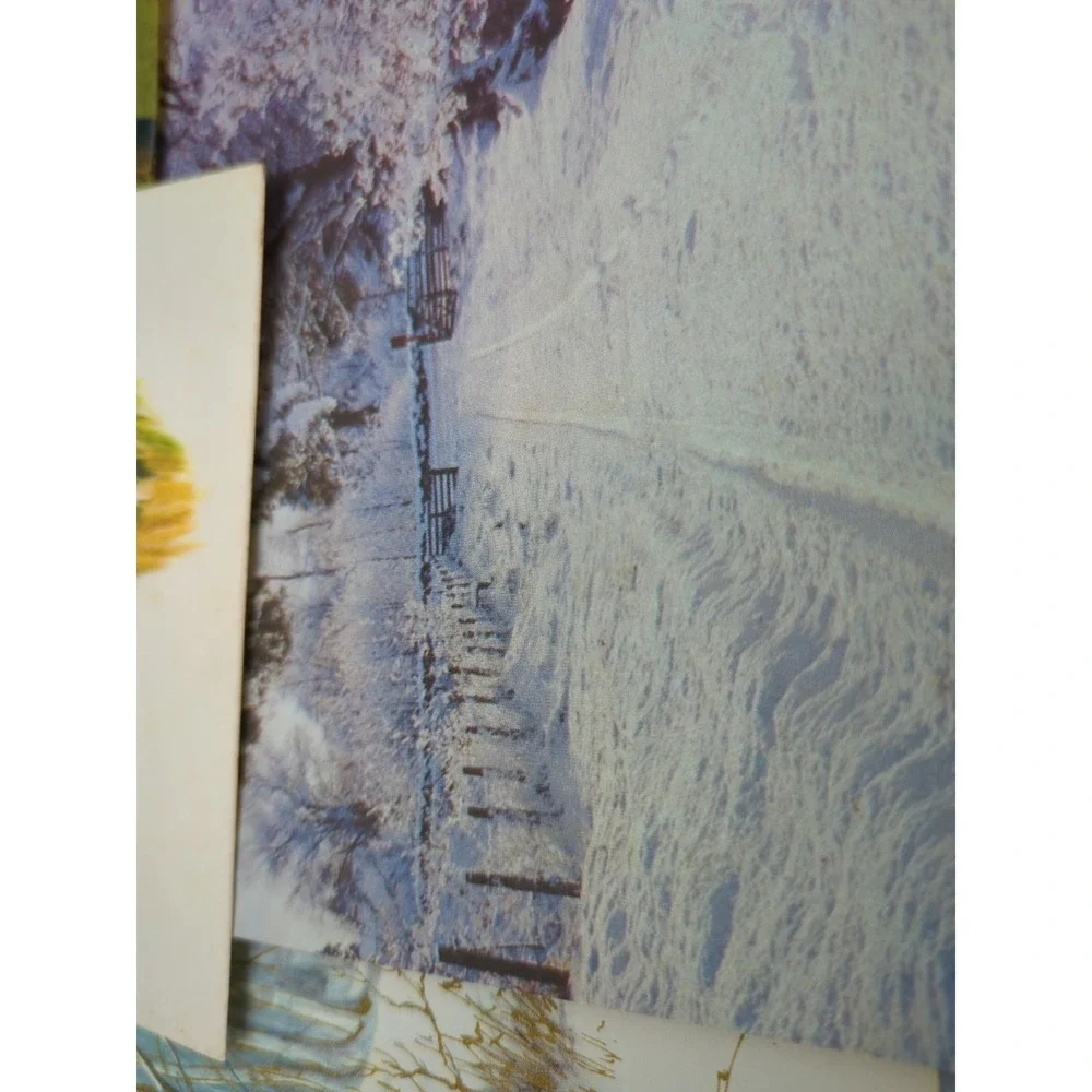 15 Old Vtg Used Christmas Card Fronts for Crafts Winter Scene Country Farm‎ Hunt